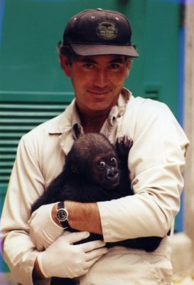 with a baby gorilla
