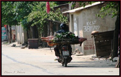 Vietnam - Cambodia 2009