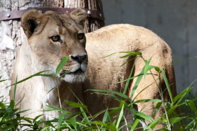 National Zoo