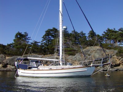 P7170011 (14).JPG
