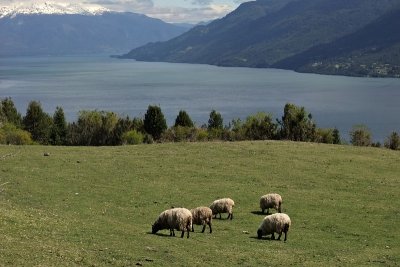 Above Cochamó