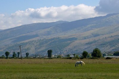 Near Gjirokastra