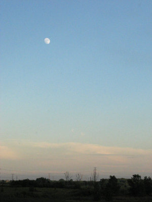 Moon Over the Park