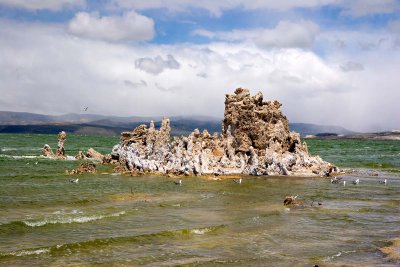 Tufa in Mono Lake_6725.jpg