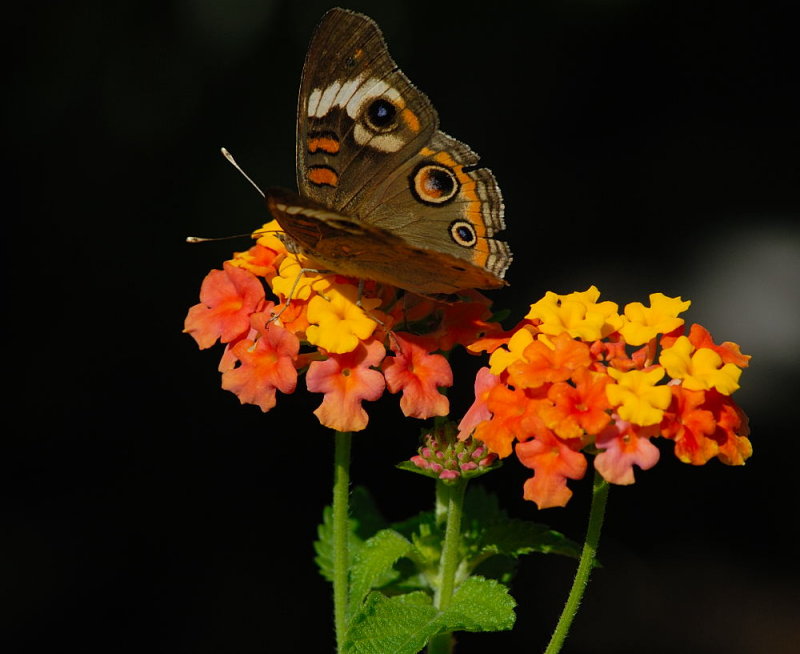 D24_4017.jpg