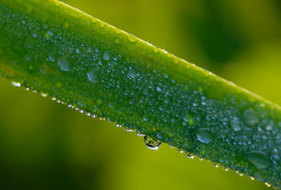 D24_3032.jpg