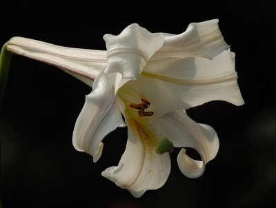 D24_4608.jpg