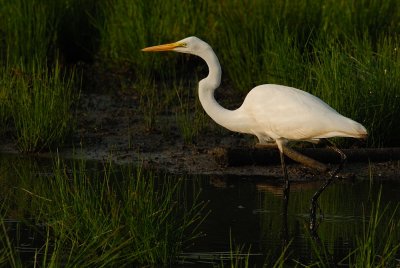 D24_5022.jpg