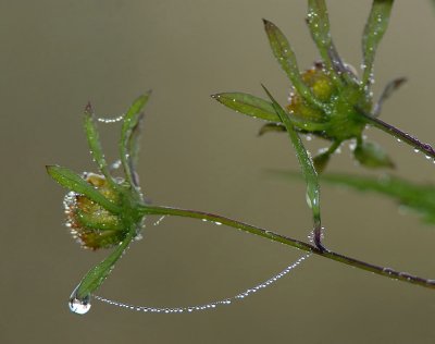 D24_9379.jpg