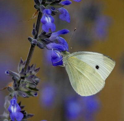 D25_0744.jpg