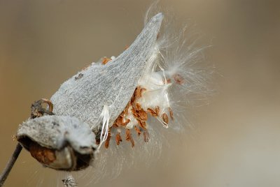D26_9032.jpg