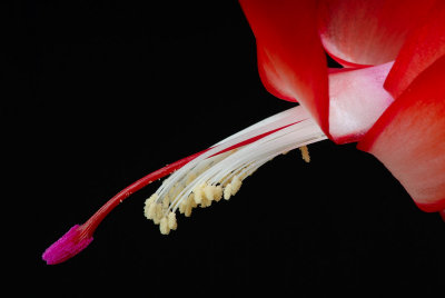 D26_9145.jpg