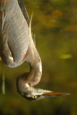 D20_4871 copy.jpg