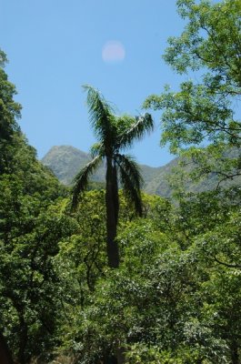 DSC_3304.JPG