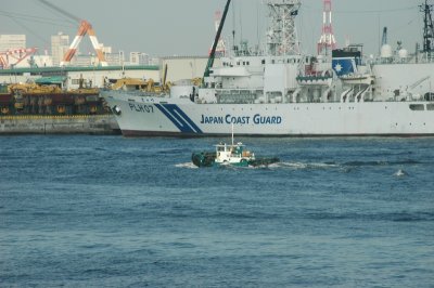 dsc_7983.jpg