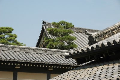 DSC_7447.JPG
