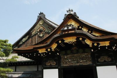 DSC_7454.JPG