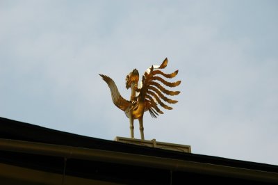 DSC_7492.JPG