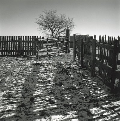 corral with sun and snow