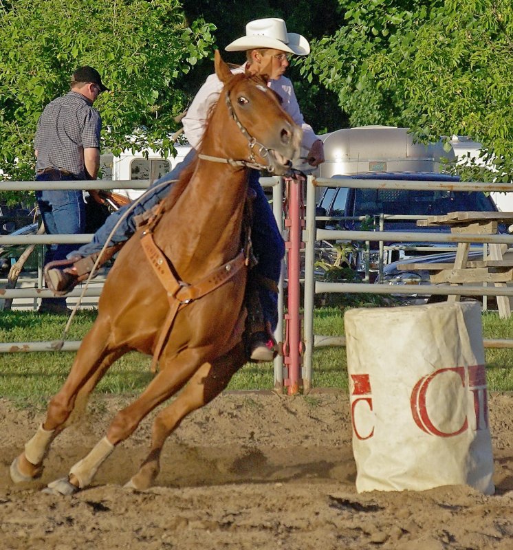 PaulineBarrels3.jpg