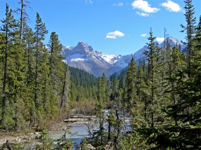 Mountain-Stream.jpg
