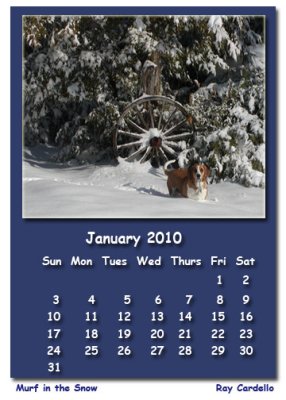 2010 Calendar