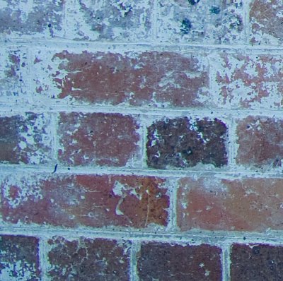 _IGP4591-DA17_F56_corner.jpg