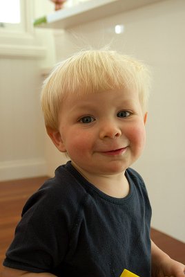 _IGP4661-20080802.jpg