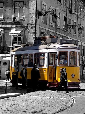 TRAMS (and TRAINS) of my Country