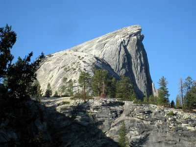 back_view