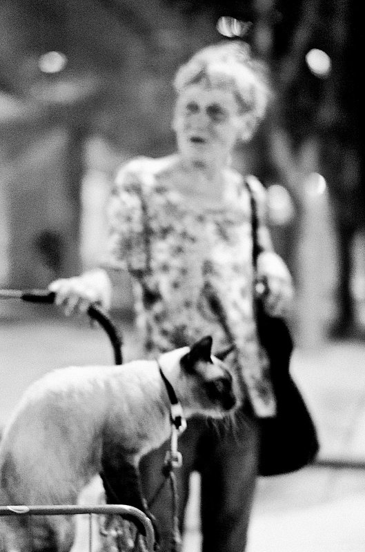 walking Petrol 02