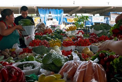 Canino's Open Produce Market 01