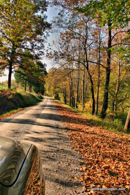 Down the Lane