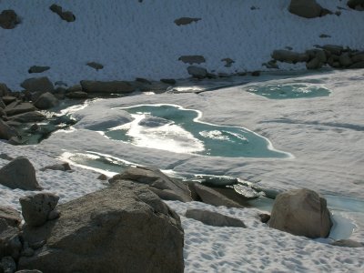 Frozen Pool