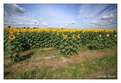 IMG_7082.JPG