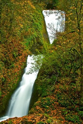 Bridal Veil 0698 W.jpg