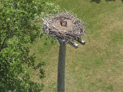 The park site from the air.