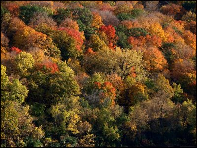 In Case Theres Any Doubt, It's Autumn!