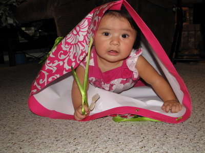 Girl In a Bag