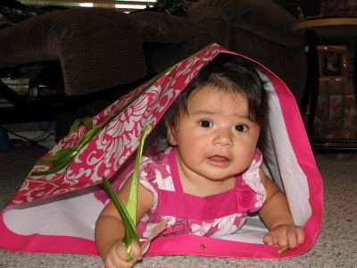 Girl In a Bag