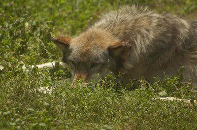 DSC_0218.jpg
