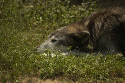 DSC_0256.jpg