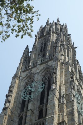 DSC_0014.jpg