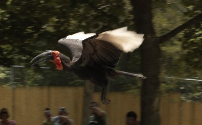 DSC_0037.jpg