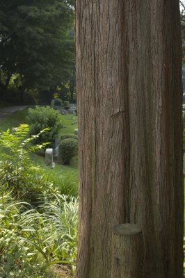 DSC_0044.jpg