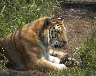 DSC_0057.jpg