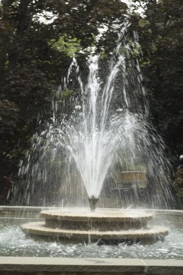 DSC_0112.jpg