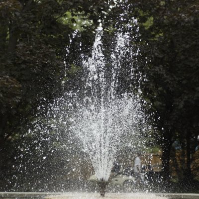 DSC_0135.jpg