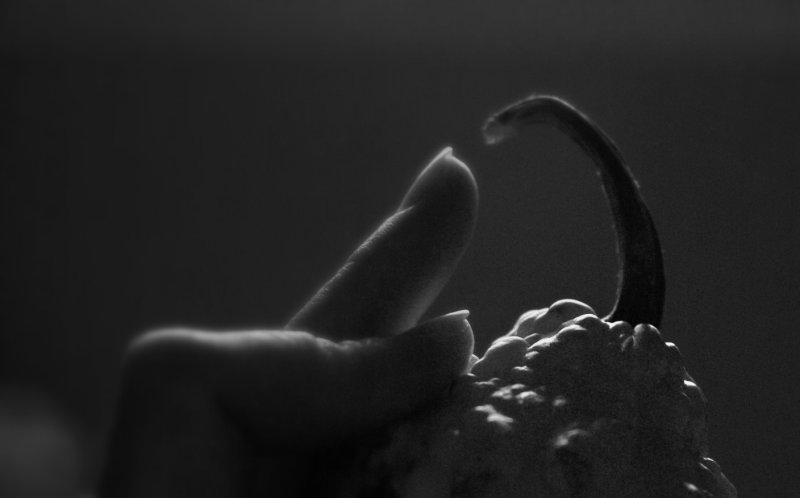 When all that counts is to, ultimately touch and be