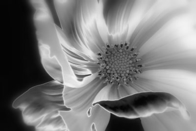 g5/90/685690/3/100896310.frIgLaUy.jpg